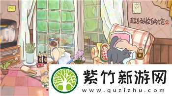 **模拟器怎么装备照相机的技巧与操作步骤