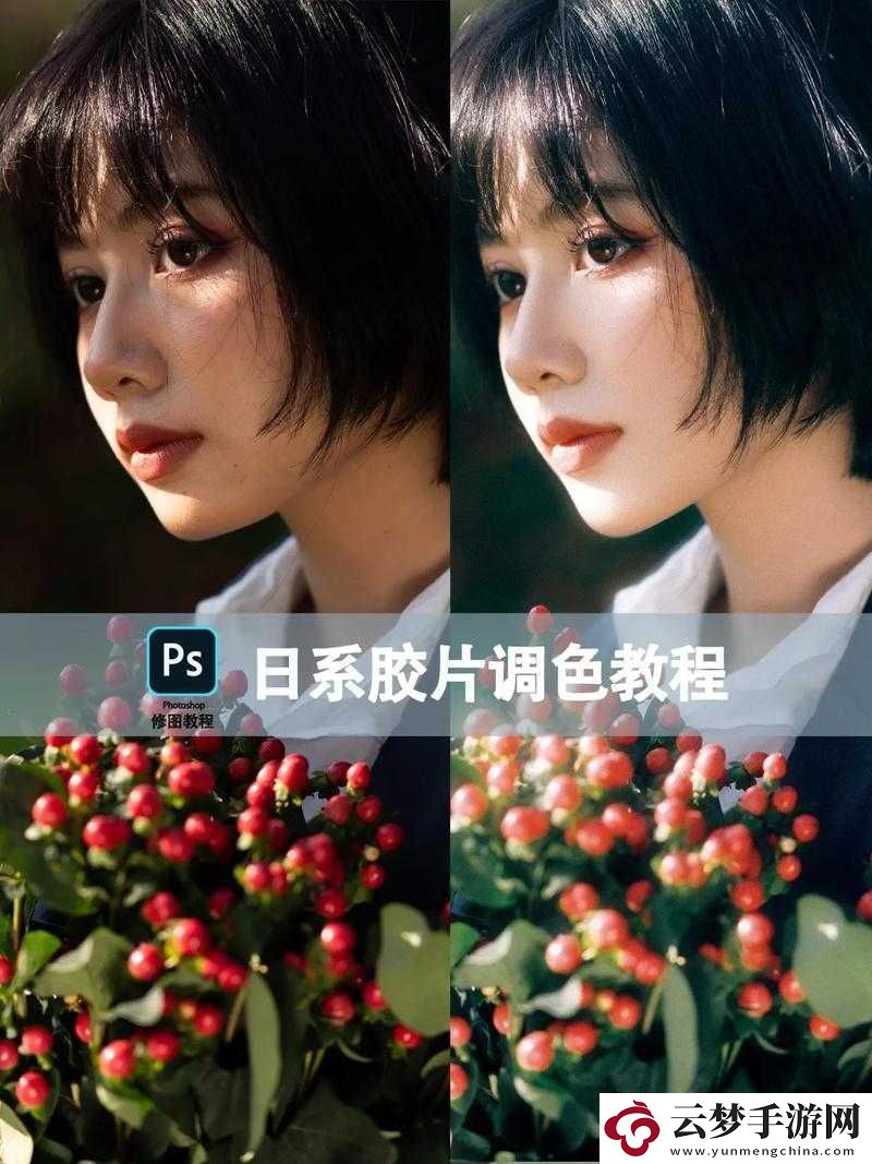 免费