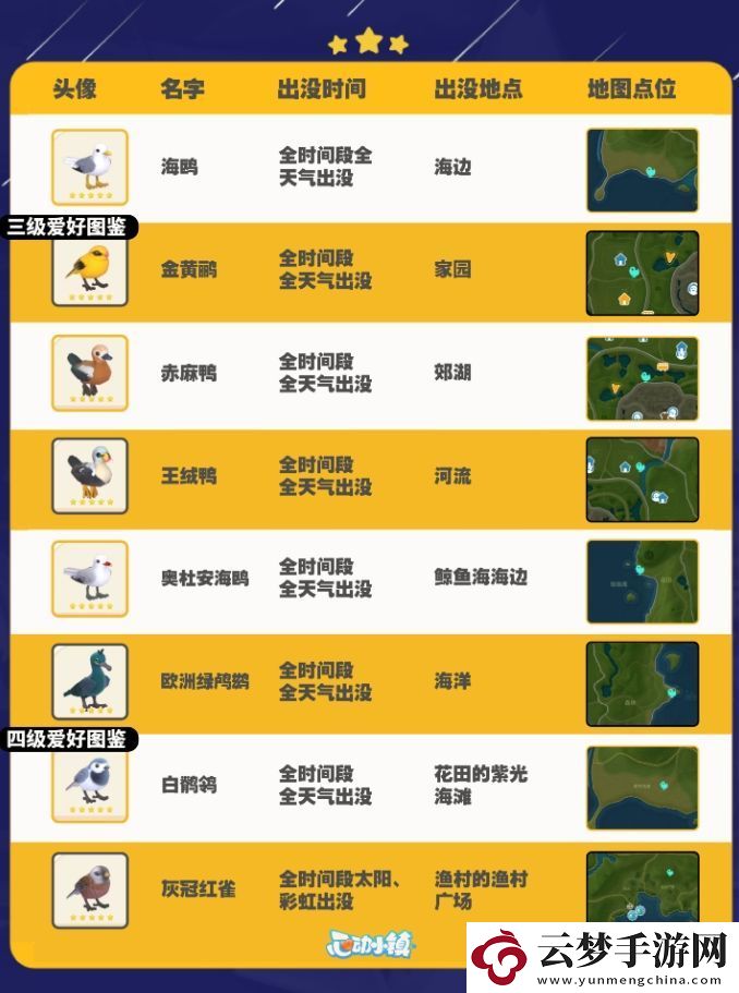 心动小镇观鸟攻略图鉴及拍照技巧详细一览