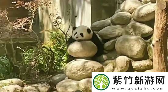 现在成年人被打屁股比小孩子多