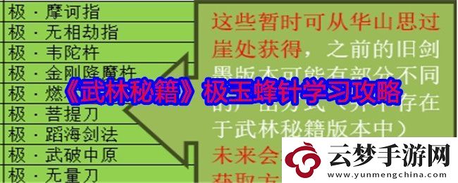 武林秘籍极玉蜂针的学习与掌握全攻略