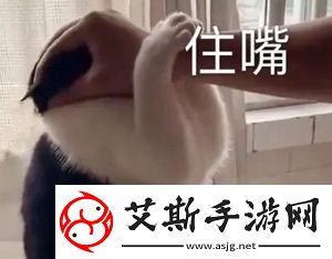 抖音哈基米哈基米哈基米是什么梗