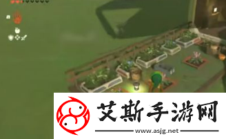 塞尔达传说王国之泪怎么造房子,房屋建造心得指南