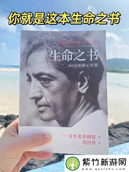勇敢者的探索：亚洲无人区码一码二码三码的神秘含义