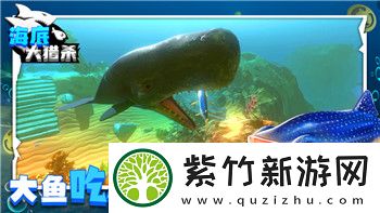 上古卷轴5凯米拉的愿望任务代码与游戏内秘密任务系统的深度解析