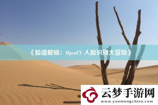 脸谱解锁：OpenCV-人脸识别大冒险