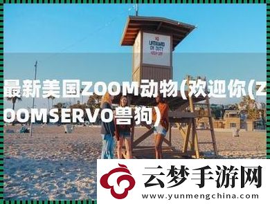 “ZOOMSERVO兽狗”：科技狂潮中的搞笑舵手