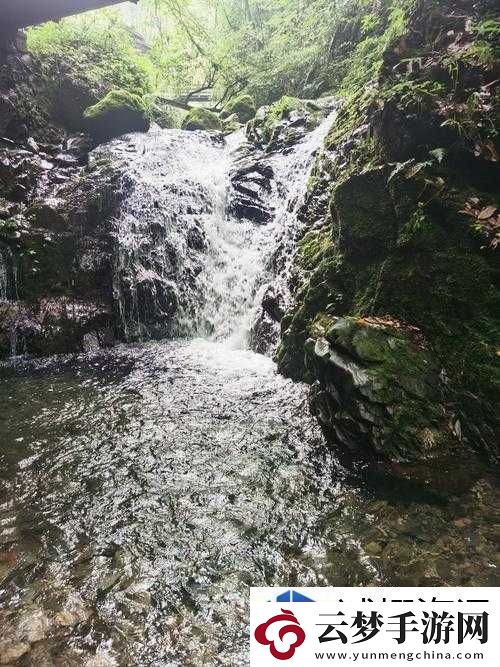 战队组建合作艺术：桃花洞口已是溪水潺潺深受广大友好评回应引发的思考与探讨