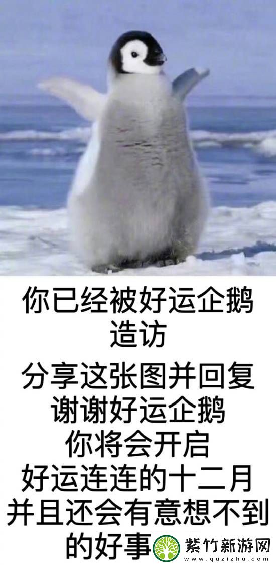 女同事都把腿放在桌子上