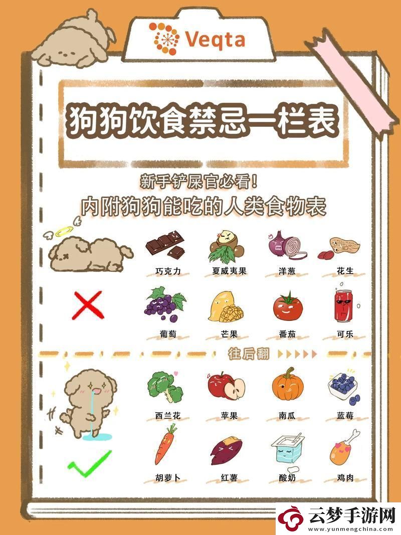 "喵了个汪！老公不在家-狗狗的宝贝我也能盘-"