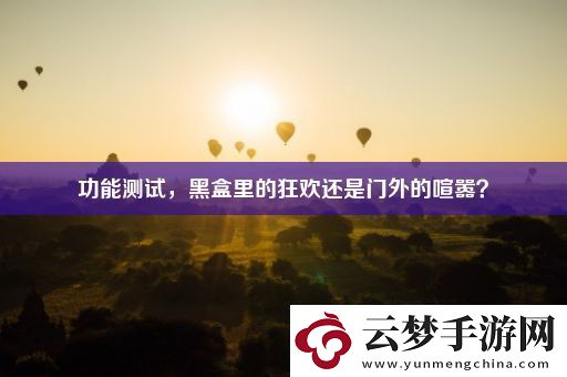 功能测试-黑盒里的狂欢还是门外的喧嚣