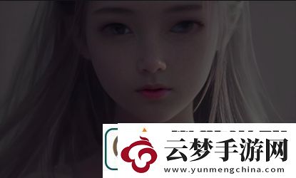 海外服务器IP为何成为中文用户的新宠-——全球络资源的中国式利用