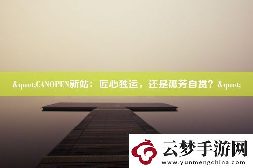 &quot;CANOPEN新站：匠心独运-还是孤芳自赏-&quot;