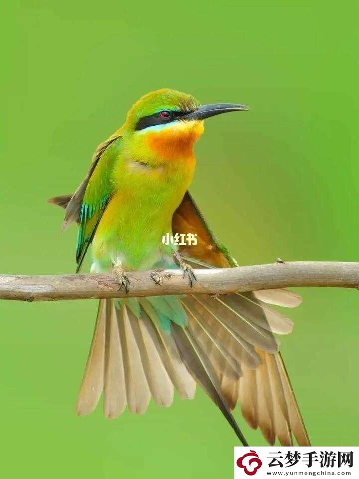 “潮欲”狂潮