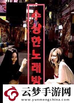 中文字幕无线码中文字幕：关于它的详细介绍与解析
