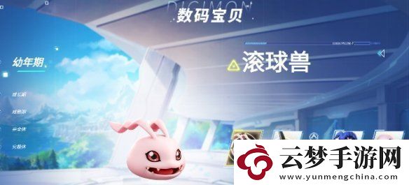 数码宝贝源码官在哪