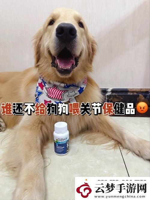 人狗胶配方大全狗狗一-探索狗狗营养与健康的新天地