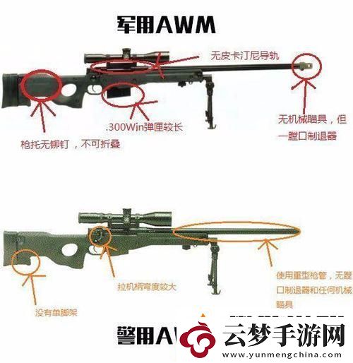 日本csgo大姐姐awp：游戏中的霸主与魅力柯林资讯