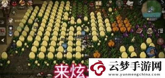 饥荒新家园土豆种子获得方法