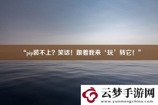 “pip装不上-笑话！跟着我来‘玩’转它！”