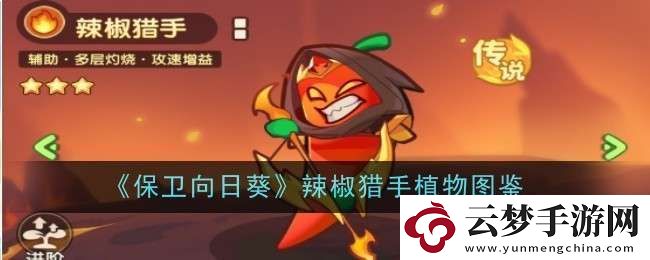 保卫向日葵辣椒猎手植物怎么样