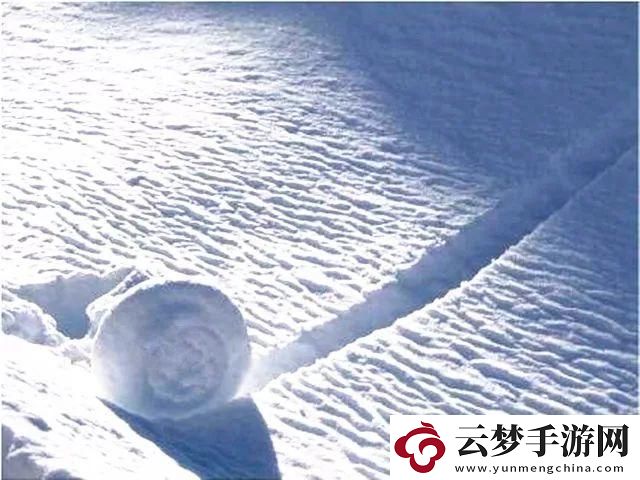 科技的魔法：雪球变形记-全网眼球收割机