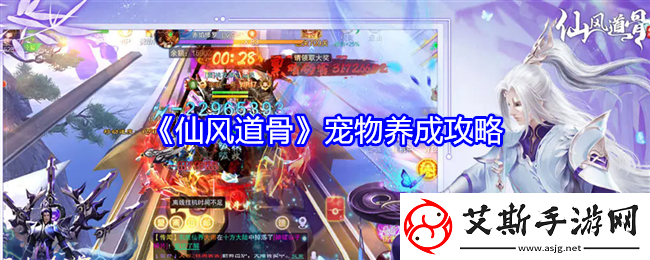 仙风道骨宠物养成攻略-角色技能深度挖掘
