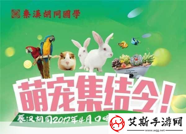 口袋怪物史莱克萌宠养成休闲新选择等你来探索