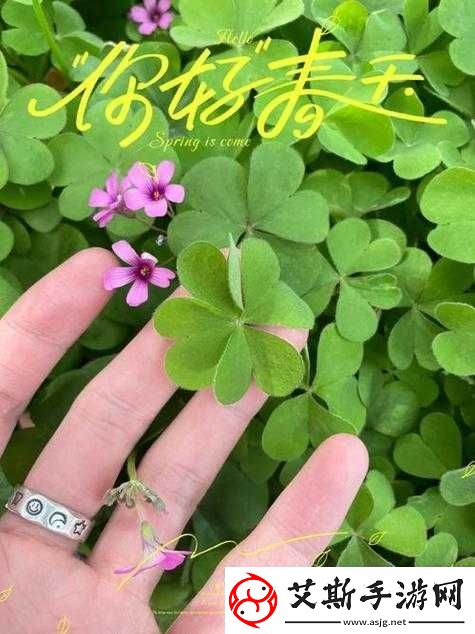 成品人和精品人的区别四叶草：关于其概念及特征的详细解析