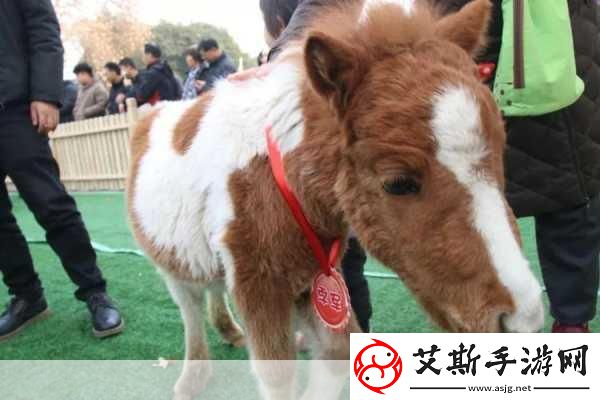 口袋怪物史莱克萌宠养成休闲新选择等你来探索