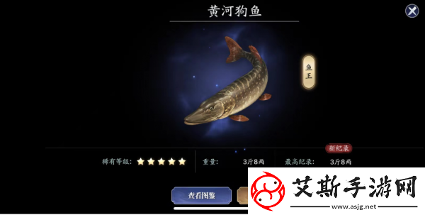 天涯明月刀手游黄河狗鱼位置分享