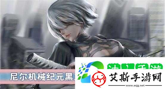 尼尔机械纪元中黑之契约究竟隐藏着怎样的秘密与力量