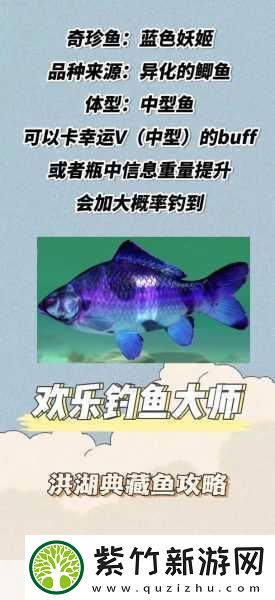欢乐钓鱼大师洪湖-揭秘最后两条鱼的神秘踪迹