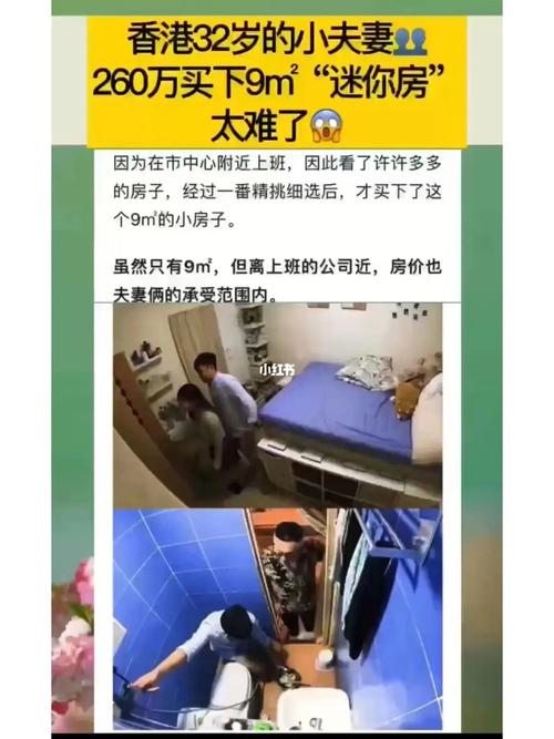 探索“一个上添b一个下添”的深层含义