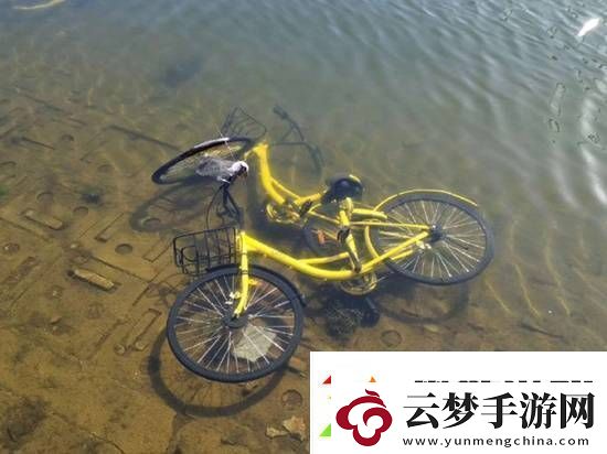共享单车被丢河里每月可捞数百辆-捞一辆需要6个人