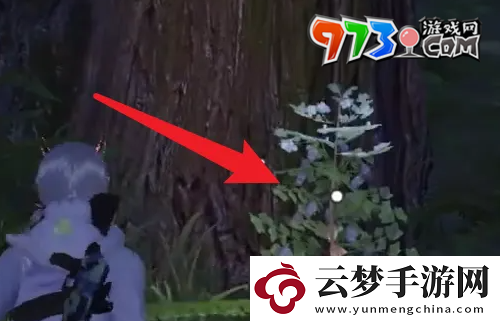 黎明觉醒草木纤维怎么获得草木纤维获取方法