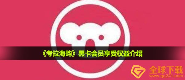考拉海购开通黑卡有什么用-黑卡会员享受权益介绍