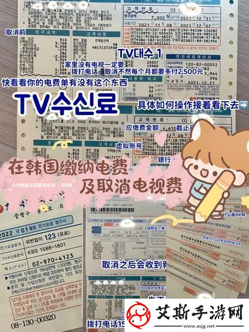 解读“好看的韩国三色电费2024”：时尚与实用的完美结合