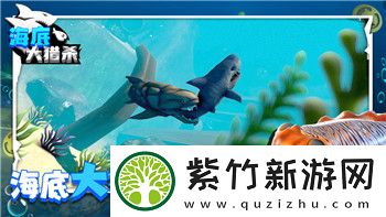 上古卷轴5给戴尔芬带多少个随从-探索随从数量限制与搭配策略