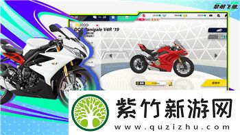 我的勇者星群效果图的样式-探索勇者星群中的多样化视觉效果与未来趋势