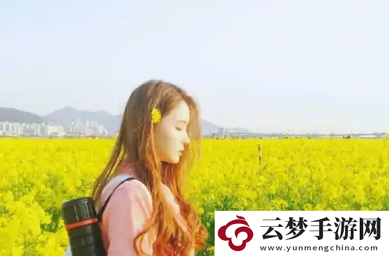 杏仁直播：无限可能的选择