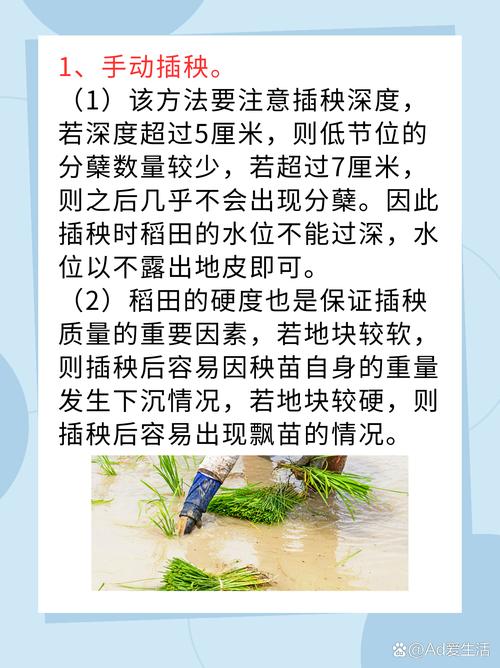 夫妻插秧38种攻略图片大全