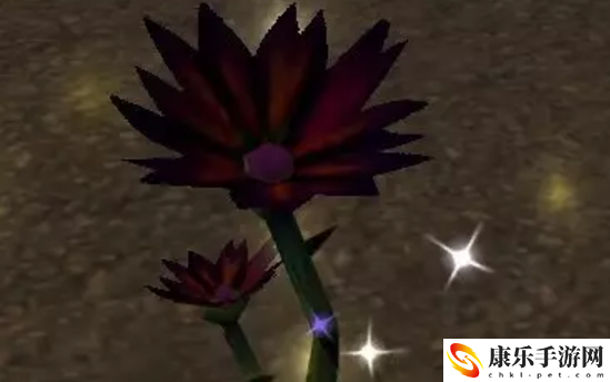 魔兽世界纪念服黑莲花采集地点详细解析